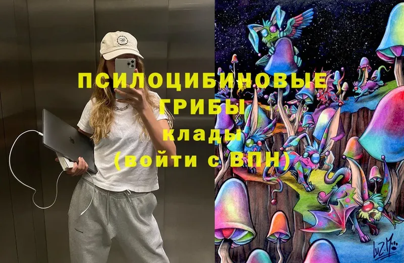 Псилоцибиновые грибы Magic Shrooms  Обнинск 